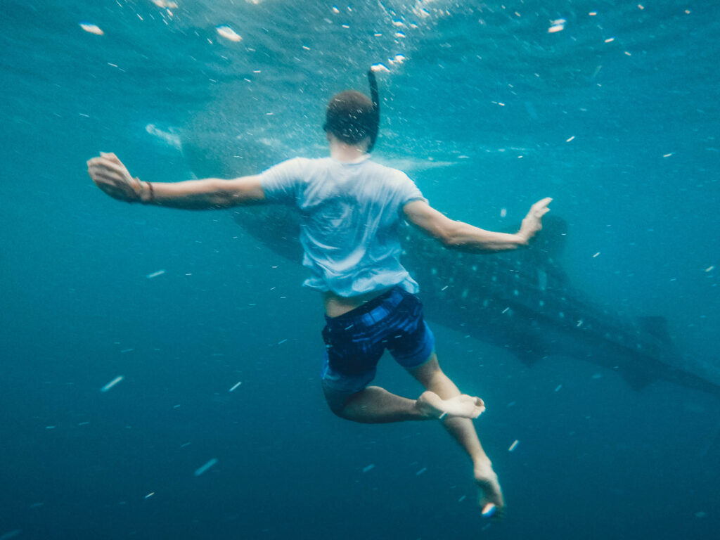 best scuba diving experience for beginners in tenerife