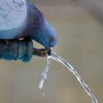 can you drink water in costa adeje
