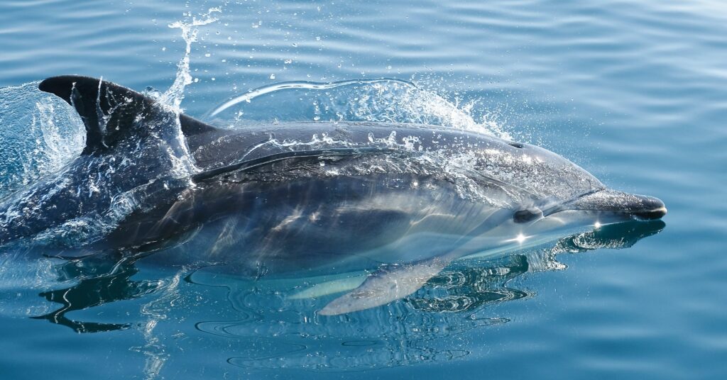can you swim in tenerife in april