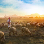 can you walk around the whole of tenerife