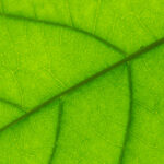 how big is tenerife compared to the uk