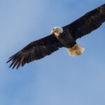 how long is the flight from glasgow to tenerife