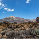 How much is a pint in Tenerife in 2024? how much is a pint in tenerife in 2024