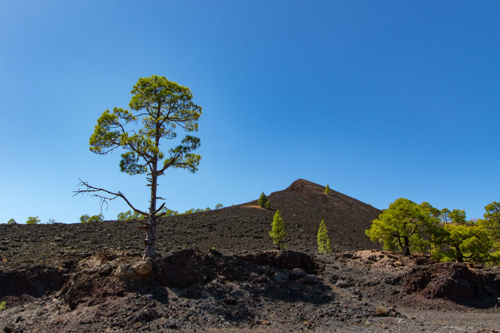 is gran canaria in tenerife