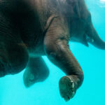 is it warm enough to swim in tenerife in january