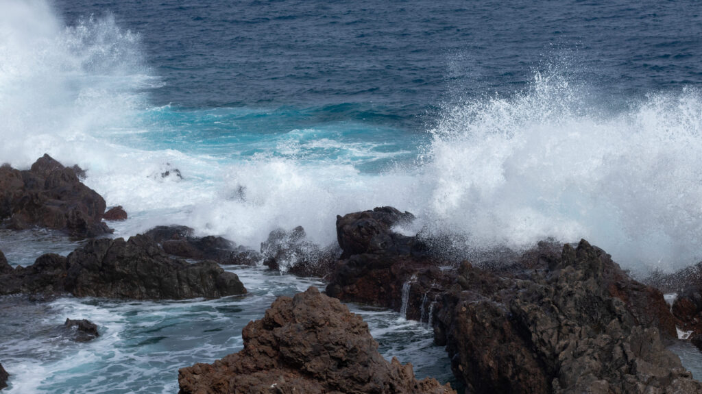is parque la paz in tenerife open