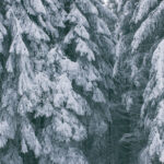 is puerto de la cruz in the north or south of tenerife