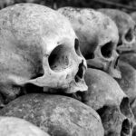 is rock royalty worth it in tenerife