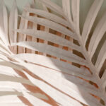 is tenerife classified as part of spain or africa