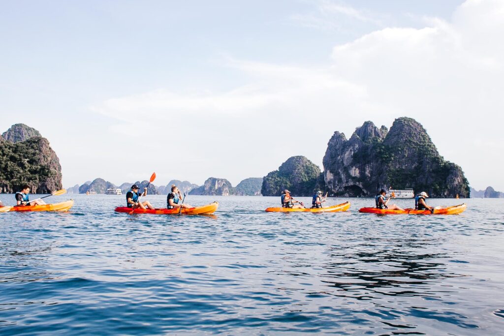 kayaking with dolphins in tenerife