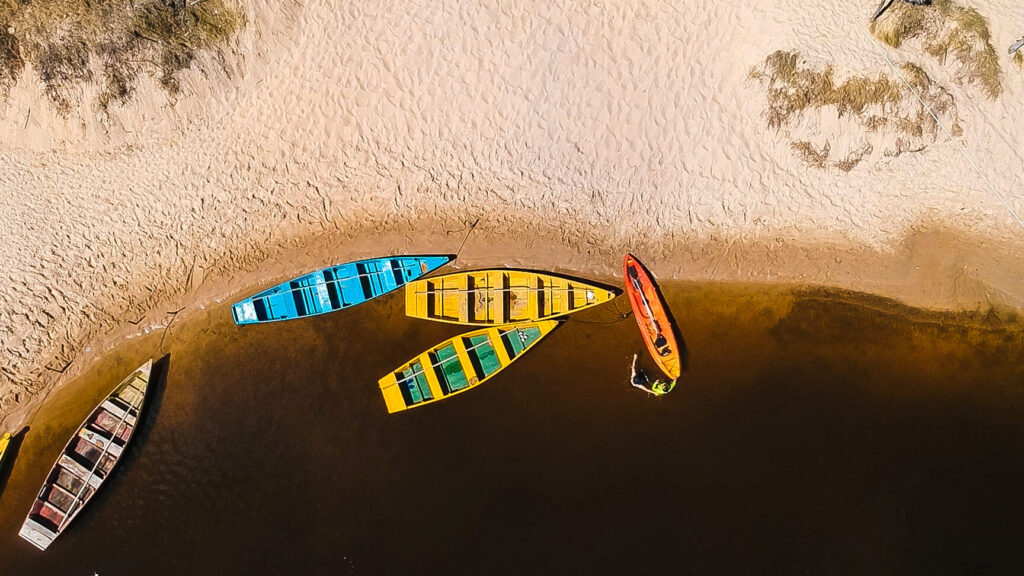 snorkeling with turtles trip in tenerife