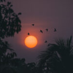 what are the rules for flying to tenerife