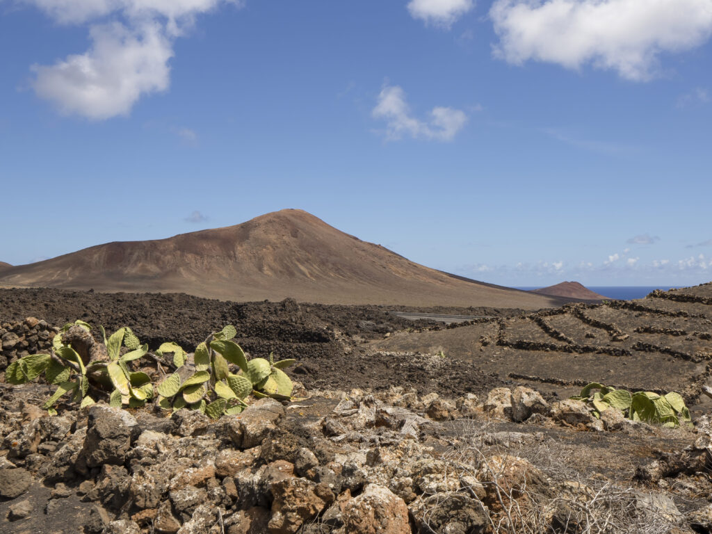 what is the 6 drink rule in the canary islands