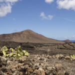 what is the 6 drink rule in the canary islands