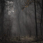 what is the weather in las americas tenerife