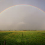 what is the weather like in tenerife in august