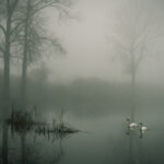 what is the weather like in tenerife in june