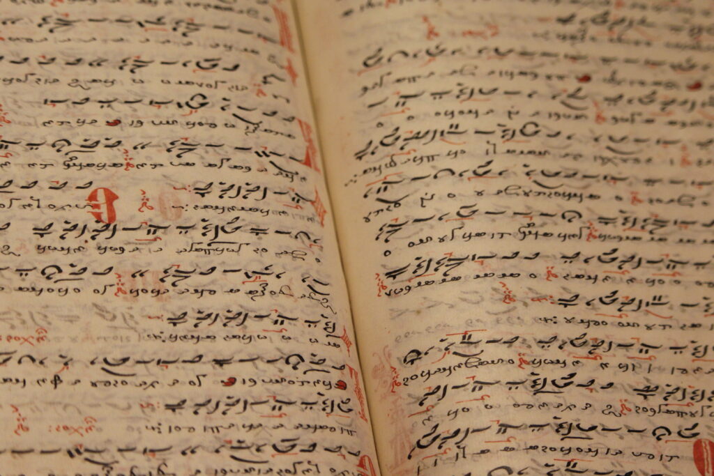 what language is spoken in tenerife