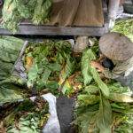 what sort of people go to tenerife