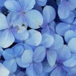 when is the rainy season in tenerife