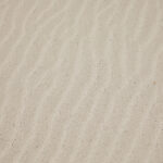 where is loro parque located in tenerife