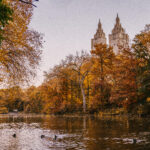 where is siam park located in tenerife