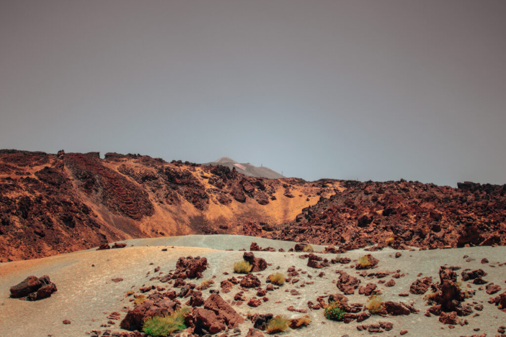 where to stay in tenerife in january