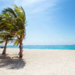 which is the biggest resort in tenerife