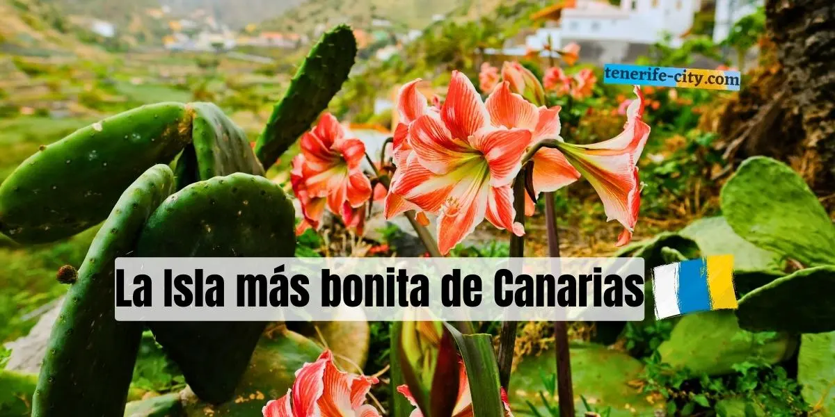 ¿Cuál es la isla más bonita de las Islas Canarias? (España)