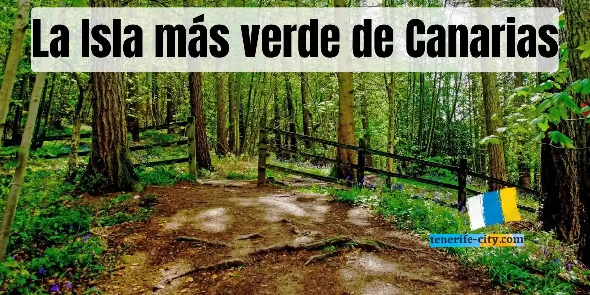 ¿Cuál es la isla más verde de las Islas Canarias en España?