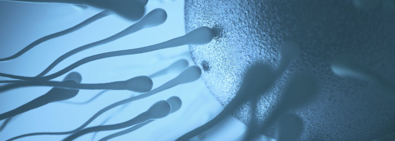 Clínicas de reproduccion asistida en Tenerife