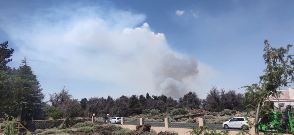 como entrar en brigadas forestales en tenerife