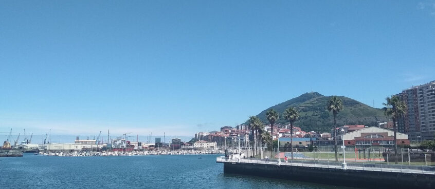 como mandar mascotas a la peninsula desde tenerife