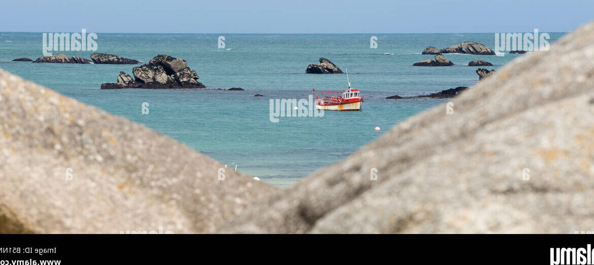 Con qué cebo de pesca en la costa de Tenerife