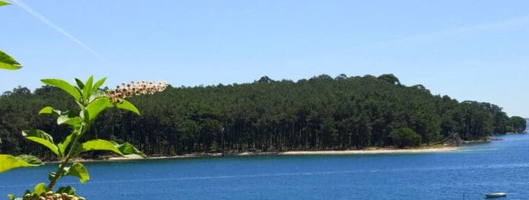 cual es la isla mas grande de espana