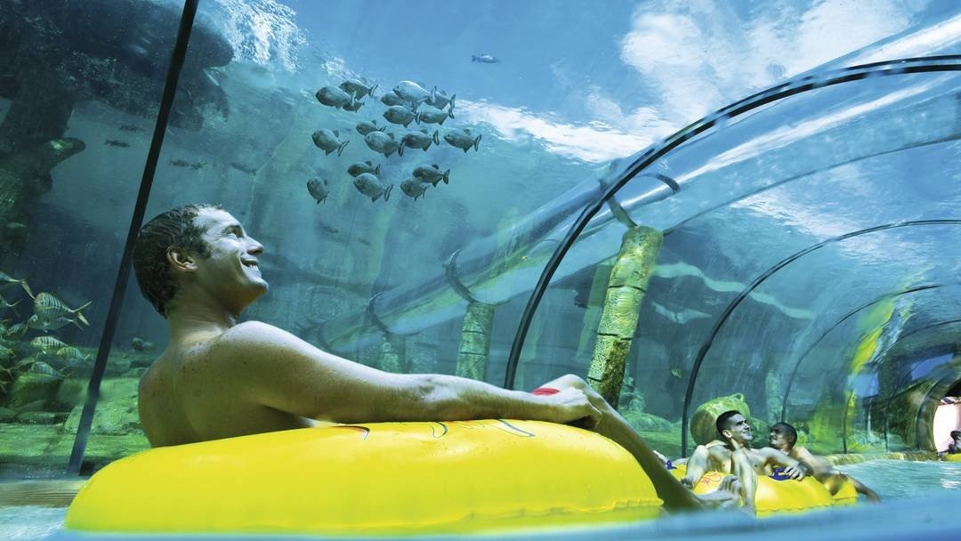 Descuentos Siam Park:  Residente – No residente – Oferta 2×1 Loro parque