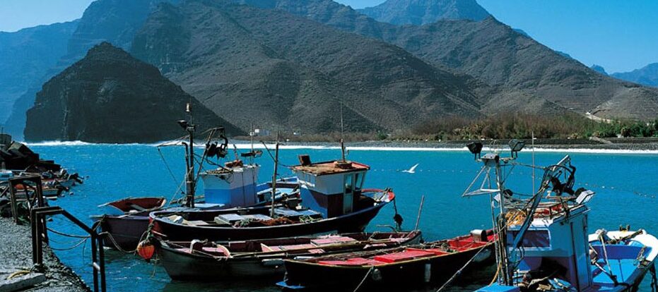 cuanto tarda un contencioso rapido tenerife