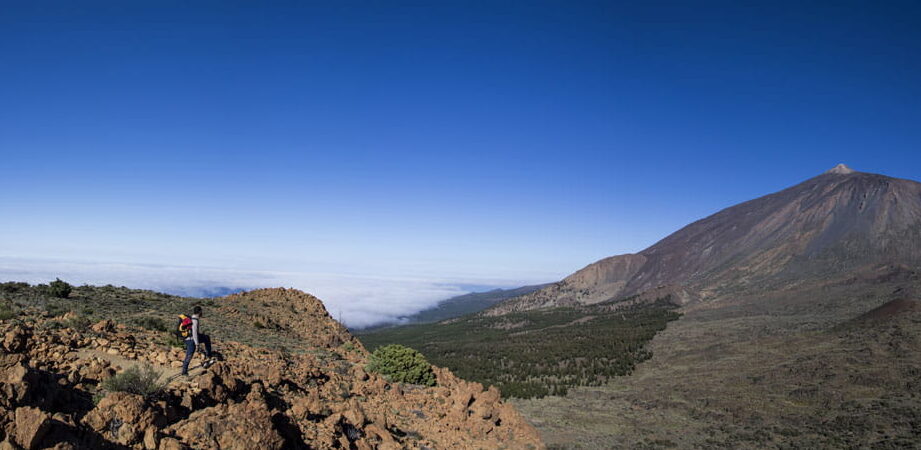 cuantos campos de golf hay en tenerife