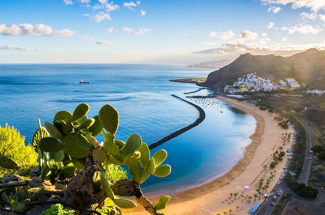 Dónde comprar picon en Tenerife