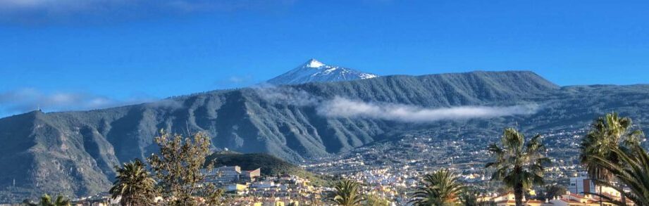empresas de posicionamiento web tenerife