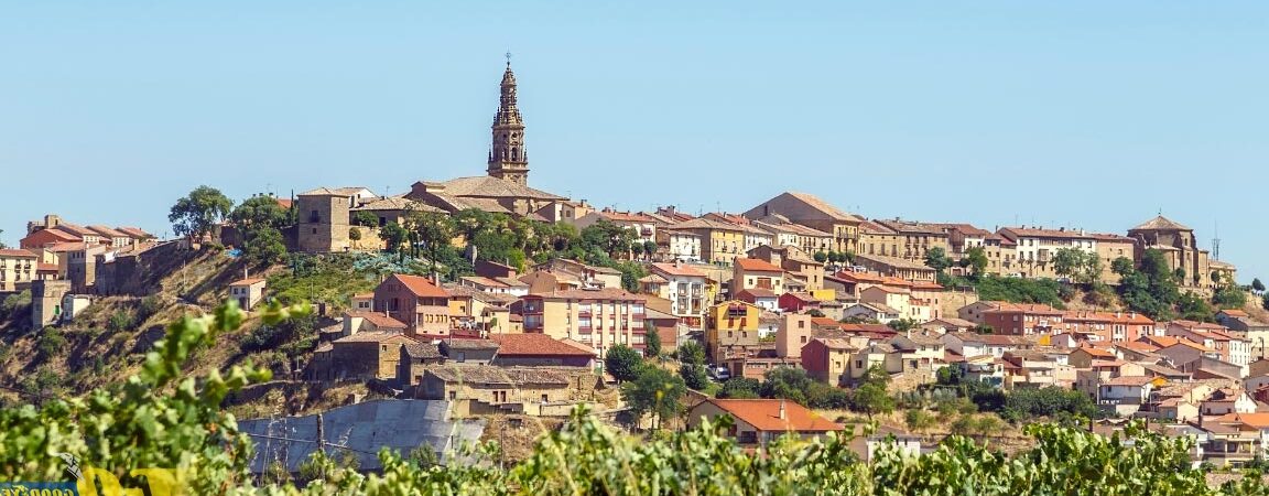 La ruta del vino rutas en coche