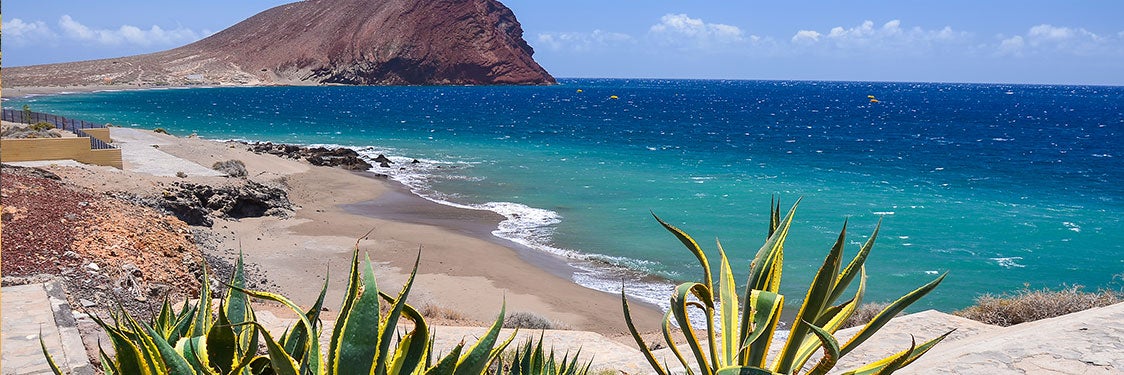 Playa la tejita Tenerife cómo llegar