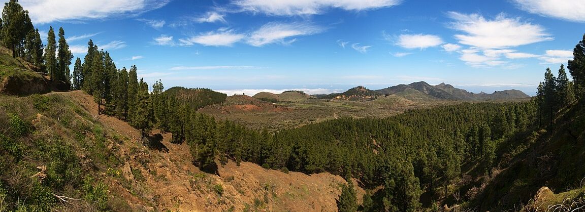 ¿Qué es más barato Canarias o Tenerife?