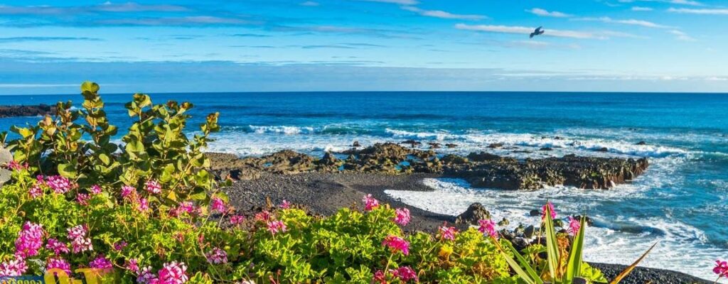 que hacer sabado tenerife