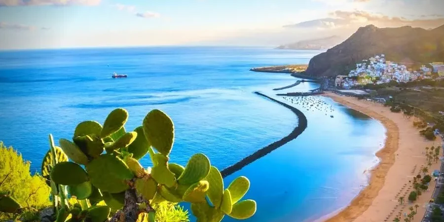 que ver en tenerife con ninos