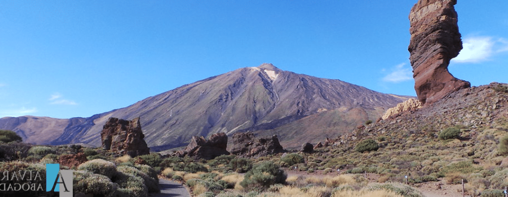 cosas que hay que solucionar en tenerife