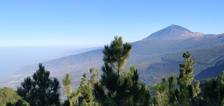 que hacer en tenerife este fin de semana