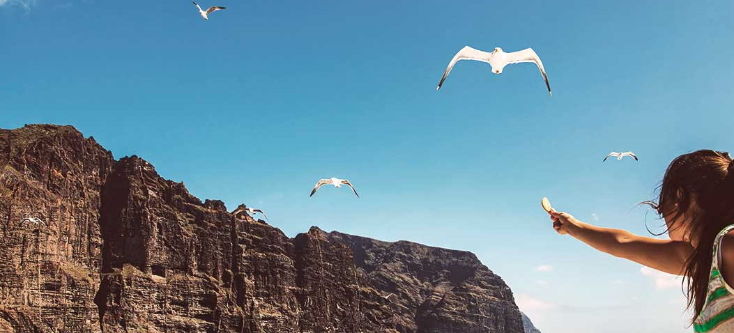 ¿Qué se celebra el 30 de mayo en Tenerife?