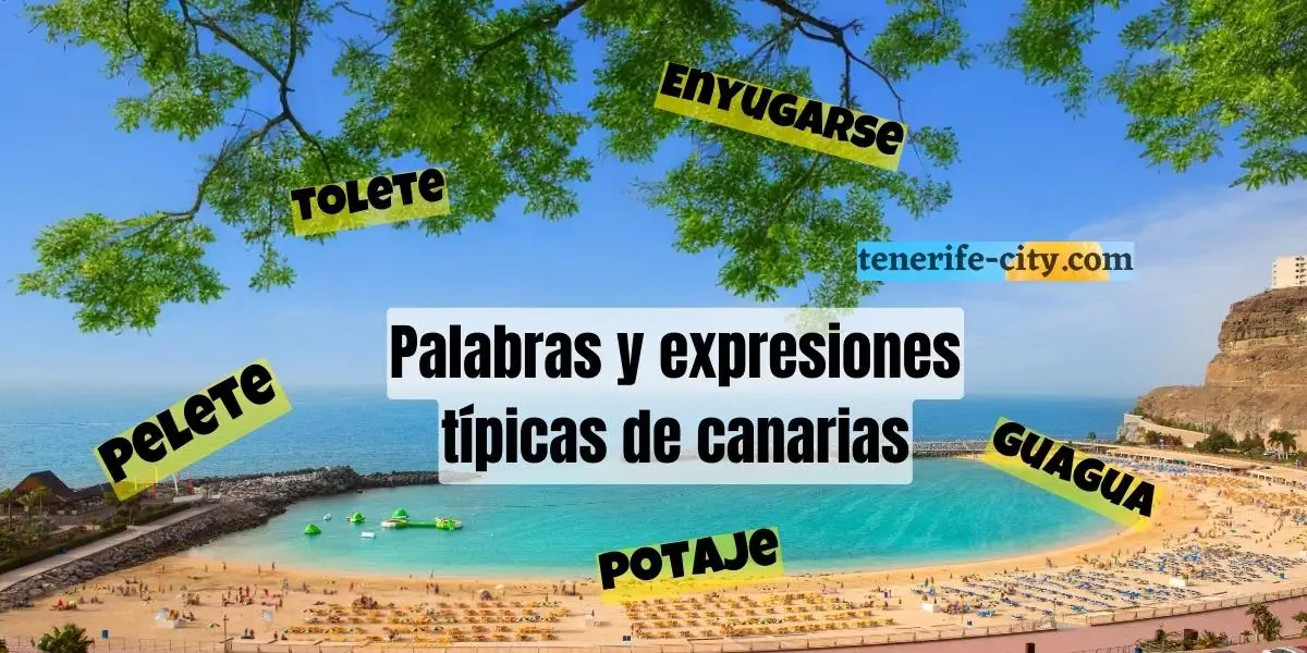 Diccionario de palabras, expresiones y frases típicas de las Islas Canarias y su significado
