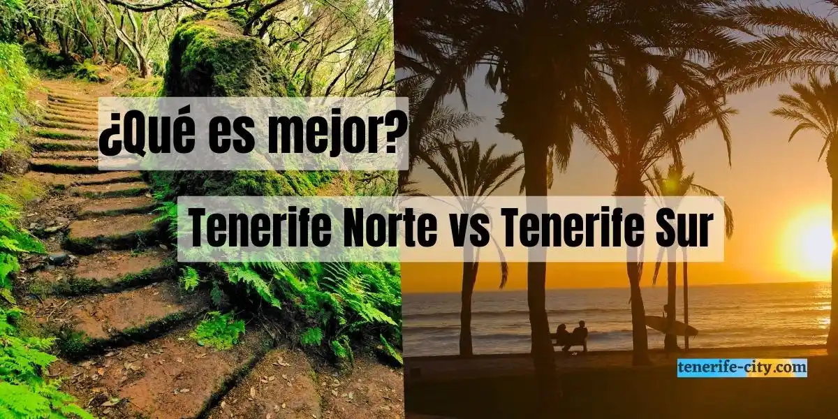 ¿Qué es mejor? Tenerife sur o Tenerife norte. Lee las opiniones